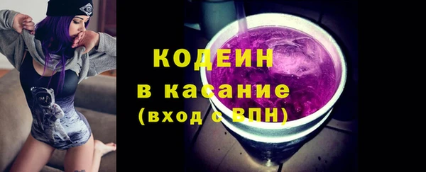 шишки Пестово