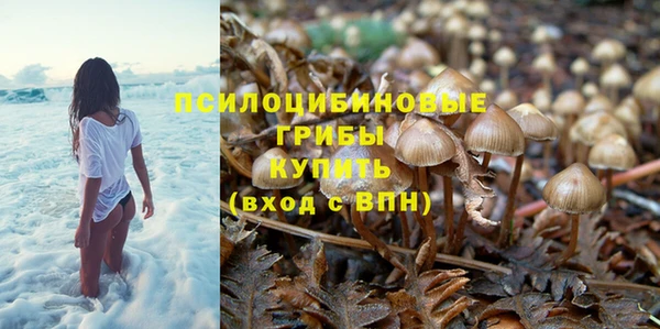 стафф Абаза