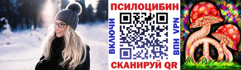 наркотики  Княгинино  Галлюциногенные грибы Psilocybine cubensis 